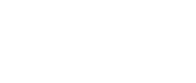 ANDIN